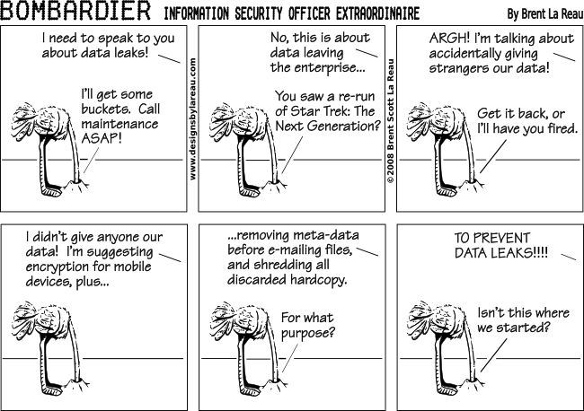 Information Security Cartoon