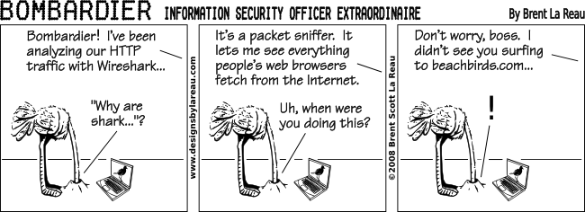 Information Security Cartoon