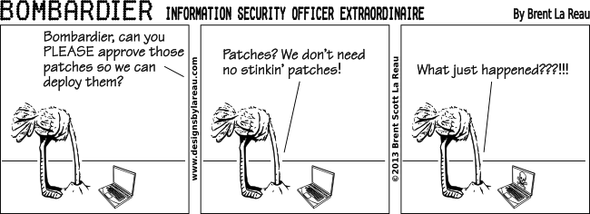 Information Security Cartoon