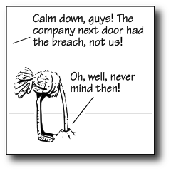 Information Security Cartoon