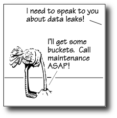 Information Security Cartoon